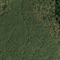 Satellite imagery of Jägerhübel, DE