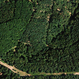 Satellite imagery of Zigeunerkopf, DE