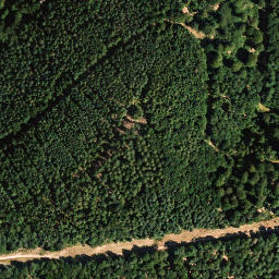 Satellite imagery of Zigeunerkopf, DE