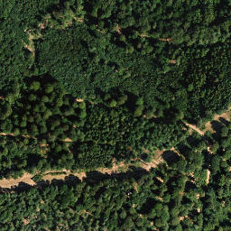 Satellite imagery of Schützlerberg, DE