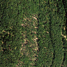 Satellite imagery of Eichelberg, DE