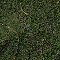 Satellite imagery of Hermannskopf, DE