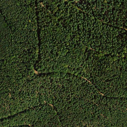Satellite imagery of Hinterer Langenberg, DE