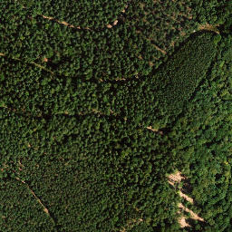 Satellite imagery of Hinterer Langenberg, DE