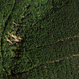Satellite imagery of Hinterer Langenberg, DE