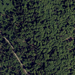 Satellite imagery of Rieselhang, DE