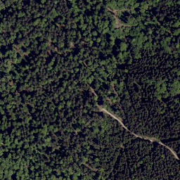 Satellite imagery of Rieselhang, DE