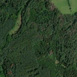 Satellite imagery of Jilmový kopec [Pernštejnské Jestřabí-Jilmoví], CZ