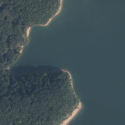 Satelita