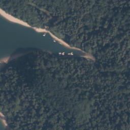 Satelita