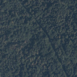 Satelita