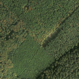 Satellite imagery of Jägerhübel, DE