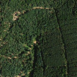 Satellite imagery of Zigeunerkopf, DE