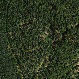 Satellite imagery of Zigeunerkopf, DE