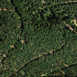 Satellite imagery of Zigeunerkopf, DE
