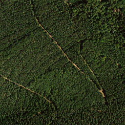 Satellite imagery of Hinterer Langenberg, DE