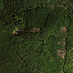 Satellite imagery of Hinterer Langenberg, DE