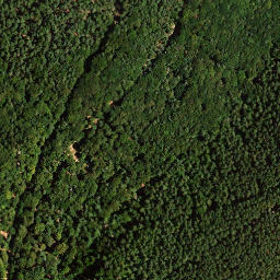 Satellite imagery of Unnamed Point, DE