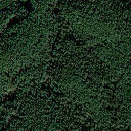 Satellite imagery of Buchenberg, DE