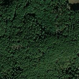 Satellite imagery of Buchenberg, DE