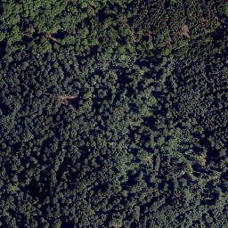 Satellite imagery of Rieselhang, DE