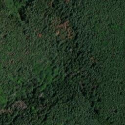 Satellite imagery of Jilmový kopec [Pernštejnské Jestřabí-Jilmoví], CZ