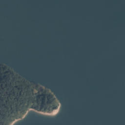 Satelita