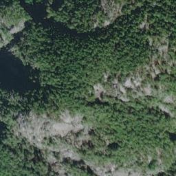 Satellite imagery of Fir Point, CA