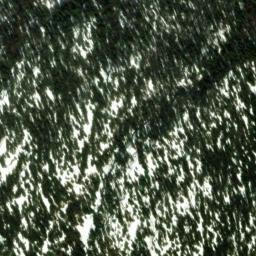 Satellite imagery of Sentinel Mountain, CA