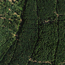 Satellite imagery of Zigeunerkopf, DE