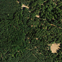 Satellite imagery of Zigeunerkopf, DE