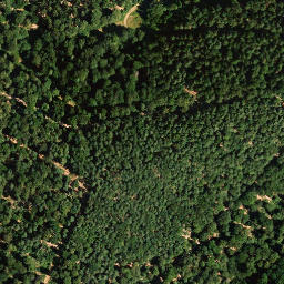 Satellite imagery of Zigeunerkopf, DE