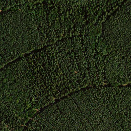 Satellite imagery of Schwalbeneck, DE