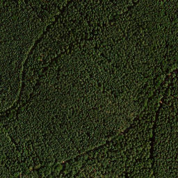 Satellite imagery of Unnamed Point, DE
