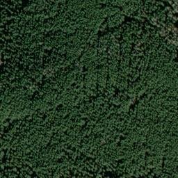 Satellite imagery of Buchenberg, DE
