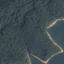 Satelita