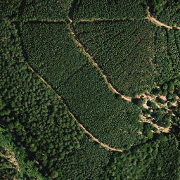 Satellite imagery of Unterstädter Berg, DE