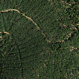 Satellite imagery of Unterstädter Berg, DE