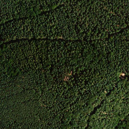 Satellite imagery of Schwalbeneck, DE
