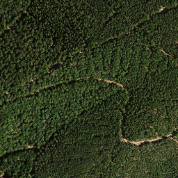 Satellite imagery of Schwalbeneck, DE