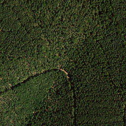 Satellite imagery of Weinbiet, DE