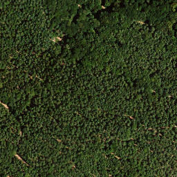Satellite imagery of Weinbiet, DE