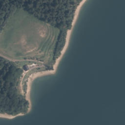 Satelita