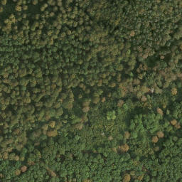 Satellite imagery of Riesenberg, DE