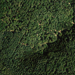 Satellite imagery of Dörrenberg, DE