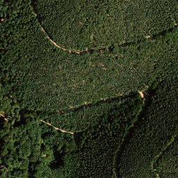 Satellite imagery of Schwalbeneck, DE