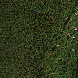 Satellite imagery of Weinbiet, DE