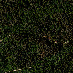 Satellite imagery of Mühlberg, DE