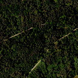 Satellite imagery of Mühlberg, DE