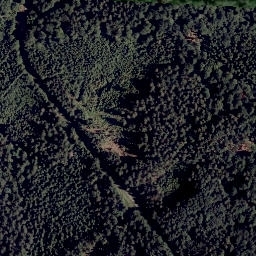 Satellite imagery of TP, CZ